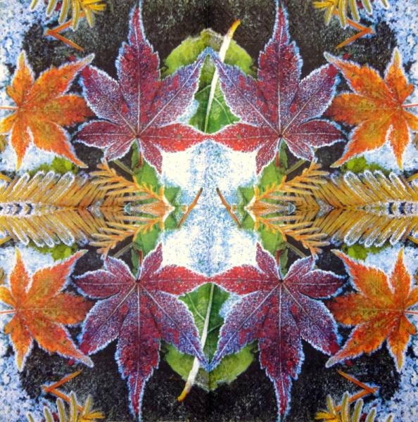 001 Plants - 3 ply - Molca